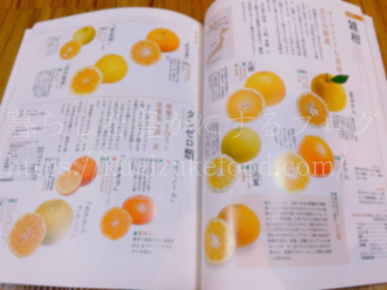 からだにおいしいフルーツの便利帳