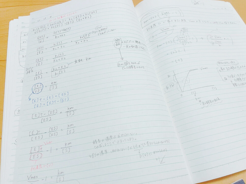 栄養士専門学校の授業ノート