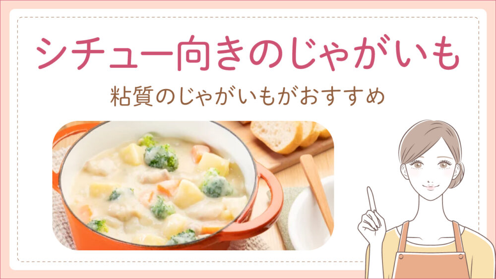 シチューに向いているじゃがいもの種類・切り方や固くならない方法も紹介