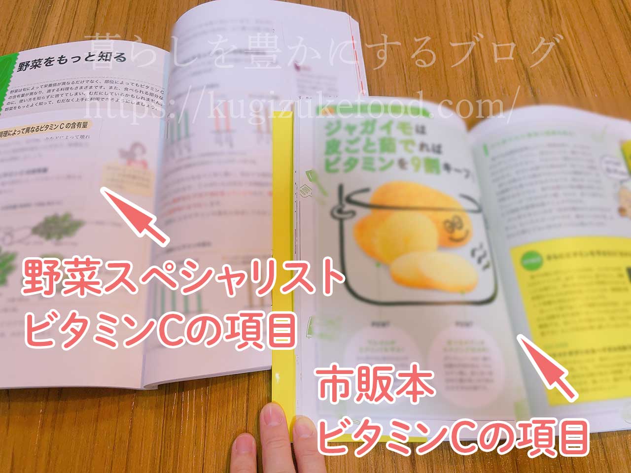 野菜スペシャリスト講座と似た内容の独学本