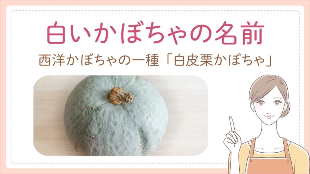 白いかぼちゃはまずくない!正体は白皮栗かぼちゃ